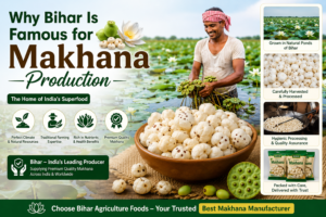 Best Makhana Manufacturer